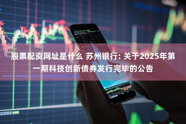 股票配资网址是什么 苏州银行: 关于2025年第一期科技创新债券发行完毕的公告