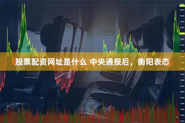 股票配资网址是什么 中央通报后，衡阳表态