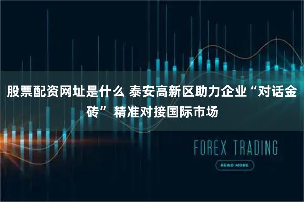 股票配资网址是什么 泰安高新区助力企业“对话金砖” 精准对接国际市场