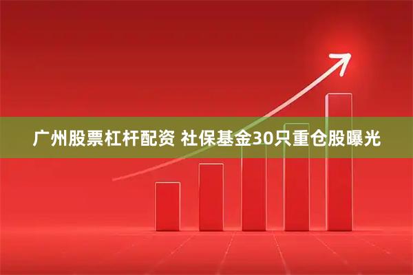 广州股票杠杆配资 社保基金30只重仓股曝光